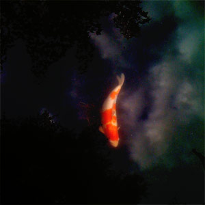 Cover art for gravity