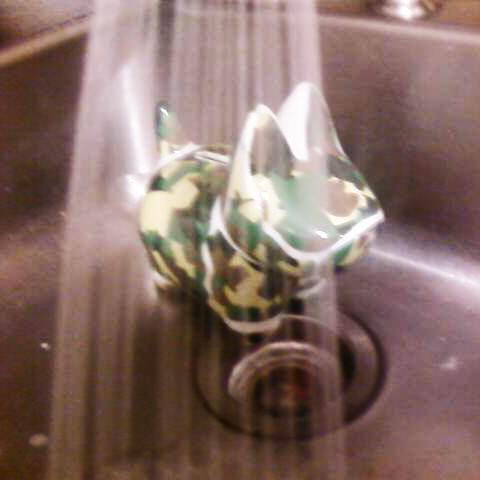 Cover art for step 2 rinse