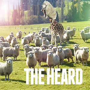 Cover art for the heard