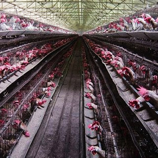 Cover art for unlawful assembly line