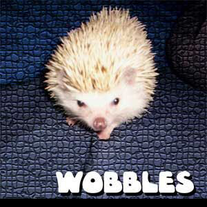 Cover art for wobbles